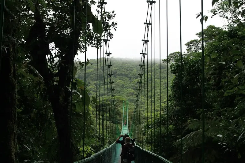 Monteverde Cloud Forest Guide: Navigating the Biological Reserves and Private Trails