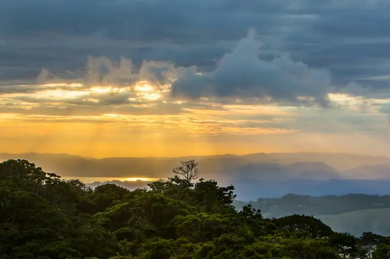 Monteverde Coffee Farm Experiences: From Bean to Cup Tours and Tastings